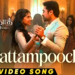 Pattampoochi Song Lyrics Translation & Meaning in English